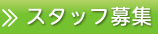 スタッフ